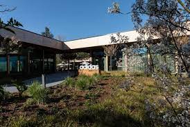 A casual jersey for fans of the national team. How A New Home Ground For The Germany National Football Team Will Become The Ultimate Adidas Workplace