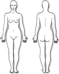 Vector art, clipart and stock vectors. Why Nipples Grow At The Front