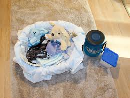 Hundezubehör muss nicht teuer sein. Ein Welpe Kommt Nach Hause Tipps Fur Die Heimfahrt Mypianeta