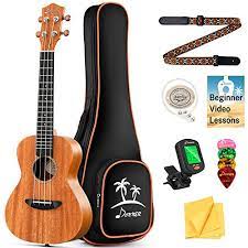 Luthiers mercantile is the place to find dozens and dozens of tuning machine options for guitar, ukulele, mandolin, and other instruments. Best Ukulele For Beginners In 2021 Techlifeland