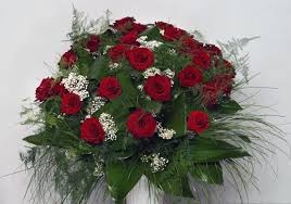 Maybe you would like to learn more about one of these? Mazzo Di 35 Rose Rosse A Gambo Lungo Ordinare Adesso Consegna Acora Oggi