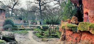 Der geologische garten bildet die stadt hof mit ihrer umgebung ab. Erlebnis Zoo Hannover Tier Und Freizeitparks Garten Geniessen Naherholung Kultur Freizeit