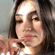 gonzalo ibarra valenzuela