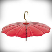 When most people start feeding birds in their backyard, they envision lots of beautiful species quietly sharing the food in general, you can cater to small birds by choosing a feeder that does one of the following: Hummbella Hummingbird Feeder Weather Dome Red