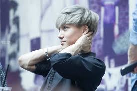 Photo Male Idols With Veiny Hands Arms Kai Dancing Bears Photo