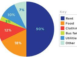 drawing pie charts class activity