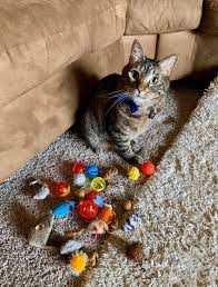 About 2% of these are bottles, 0% are lids, bottle caps, closures. Someone Asks If Cats Had Pockets What Would They Keep In Them And The Responses Are As Creative As They Are Hilarious