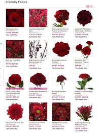 Pin By Kathy Ward On Kelsie Bridal Flowers Burgundy Flowers Wedding Flowers