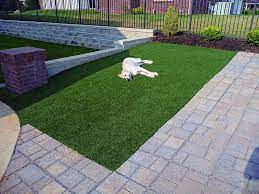 Pin On K9grass