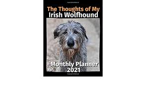 Aussehen bilder charakter geschichte züchter vereine verfügbare welpen jetzt informieren! The Thoughts Of My Irish Wolfhound Monthly Planner 2021 Planners Brightview 9798671504354 Amazon Com Books