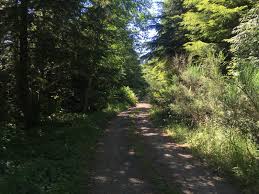 With abundant rainfall and mild winters, the siuslaw national forest is one of the few national forests that offers both fresh and salt water recreation opportunities. Route 5506 Siuslaw Natl Forest Oregon Offroad Map Guide And Tips Onx Offroad