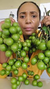 Do I Swallow the Guinep Seeds? Clear Explanation