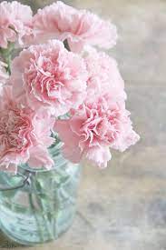 Pink Carnations In Mason Jar Pink Carnations Pretty Flowers Flower Arrangements