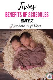 Babywise Twins Benefits Of A Schedule Newborn Care Newborn Baby Care