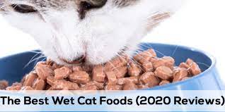 Wet Cat Food Has High Moisture Content Compared To Dry Cat Food Which May Allow It To Be Good To Cats That Require Grea Cat Food Reviews Wet Cat Food Cat