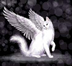 Her Fascination Didn T Start Until Another Beloved Cat Passed And Her Mother Explained That It Was Probably An Angel Now Description Angel Cat Cute Cats Cats