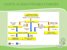 Nothing is more important than your health. Fomema Medical Checkup Prosedur Pemeriksaan Kesihatan Ke Atas