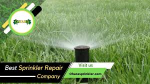 We are also proud to have certified review of mr sprinkler repair. Pin On Sprinkler Repair