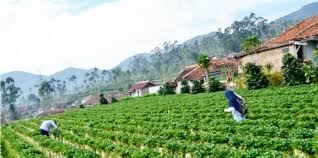 Maybe you would like to learn more about one of these? Ini Tempat Wisata Kebun Buah Terkenal Di Indonesia Feed Merdeka Com