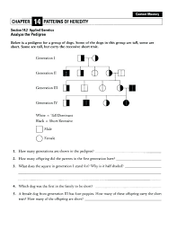 The mendelian concept of a gene. Biology Experiments Biology Biology Worksheet Genetics Genetics Lesson