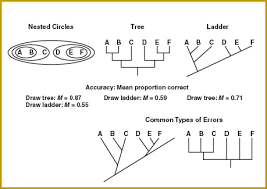 The information is not accurate because the anterior air sacs push air when they expand and pull air when then contract. 3 Using Insights About Learning To Inform Teaching Reaching Students What Research Says About Effective Instruction In Undergraduate Science And Engineering The National Academies Press