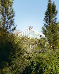 Er beherbert fast 9.000 pflanzenarten auf seinen rund 5 ha fläche für schauanlagen. Botanischer Garten Potsdam Fotografieren In Den Gewachshausern Potsdamomente
