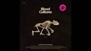 Release date march 28, 2019. Blood Cultures Flowers For All Occasions Lyrics Genius Lyrics