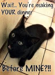 45 black cat memes ranked in order of popularity and relevancy. Onehouronepic Com Black Cat Memes Cat Memes Funny Cat Images