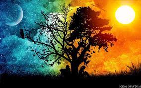 Maybe you would like to learn more about one of these? Cool Tree Wallpapers Top Free Cool Tree Backgrounds Wallpaperaccess