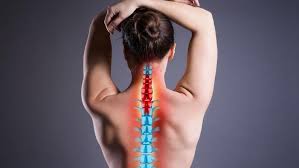 Neck muscles are bodies of tissue that produce motion in the neck when stimulated. Pain In The Neck Reddy Care Physical Occupational Therapy Physical Therapists