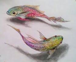 Pisces 3d Pencil Drawings 3d Drawings Drawings