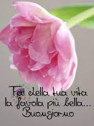 Disponibile in blu, rosa, multicolore e bianco. Buongiorno Immagini Con Fiori 4 Buongiornissimocaffe It