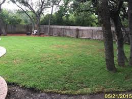 I have rampant creeping charlie that covers everything in i won't be able to get rid of the zoysia either any easier than everything else i have growing. Clay Soil Killing Zoysia