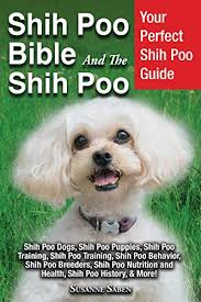 Shih poo puppies for sale. Shih Poo Bible And The Shih Poo Your Perfect Shih Poo Guide Shih Poo Dogs Shih