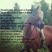 People Say It S Just A Horse That Horse Is A Best Friend A Teacher An One Of The Best Things That Had Horse Riding Quotes Inspirational Horse Quotes Horses