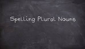 Spelling Plural Nouns Usingenglish Com