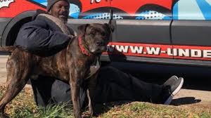 Every person can play a part in creating a community where every pet matters. A Homeless Man In Atlanta Rescued All The Animals At A Shelter After It Caught On Fire