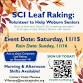 SCI Leaf Raking for Seniors event image