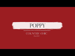 Image result for Poppy Red 1993 Town and Country