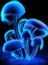 Looking for the best wallpapers? Animated Gifs Animated Wallpapers For Cellphones Animated Wallpapers For Mobile Stuffed Mushrooms Live Wallpapers