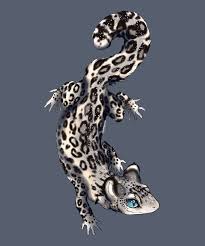 Continue to sketch out the body shape like you see here, and then draw the back legs, and feet the same way you drew the front feet and toes. Snow Leopard Gecko Dragonrar Illustrations Art Street