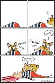Pin By Anke Friese On Casey Dog Jokes Dog Quotes Baby Dogs