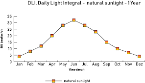 The daily light integral (dli) specifies the usable light received within a 24 hour window. Daily Light Integral Dli Mol M D Hortione Com