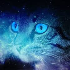 Cat Color Symbolism 5 Cat Colors And Their Meaning Color Symbolism Cat Colors Cats