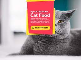 Sale Wa 0852 8000 8050 Pusat Grosir Makanan Kucing Jakarta Makanan Kucing Makanan Anjing Kesejahteraan Hewan