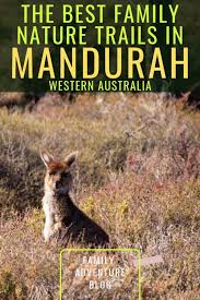 The Best Family Friendly Nature Trails In Mandurah Keeping Up With Little Joneses Nature Trail Family Nature Australia Travel