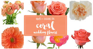 Wedding flowers have been with us since the beginning of time. The Essential Coral Wedding Flowers Guide Types Of Peach Flowers Names Seasons Pics Laptrinhx News