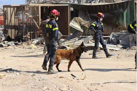 Une vingtaine d'hommes et de femmes militaires organisés pour répondre au mieux aux. Uiisc 1 En Soutien Au Liban