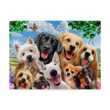 We thought we would celebrate by giving our customers free delivery for online orders over $50. Uzivatel Holistic Animal Care Na Twitteru Happy Thursday Stop On In To See The Great Foods And Treats Your Shoppe Has
