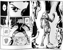 As you probably know nen grows stronger the stronger the condition is or how many there are. Hunter X Hunter Gon Vs Pitou Black Poster Hunter X Hunter Poster Manga Pages